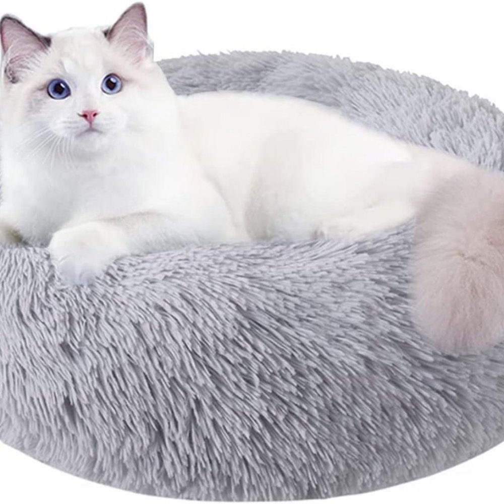 Cat Beds for Indoor Cats, 20 Inch Dog Bed for Small Melium Large Dogs (1  Pack